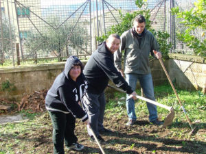Orto Sociale a Paideia
